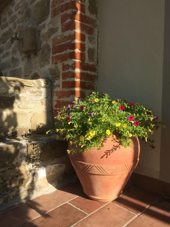 Casale Degli Ulivi Villa Gualdo Tadino Exterior foto